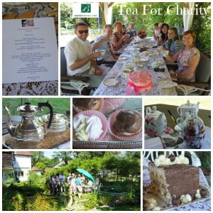 LGFB7 Tea