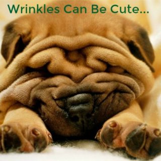 Wrinkles 5